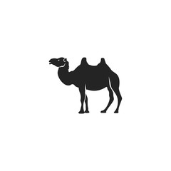 Camel icon silhouette design. Wild animal symbol and element isolated on white background. Vintage hand hand animal pictogram. Stock vector illustration