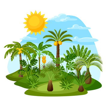 Card with tropical palm trees. Exotic tropical plants Illustration of jungle nature