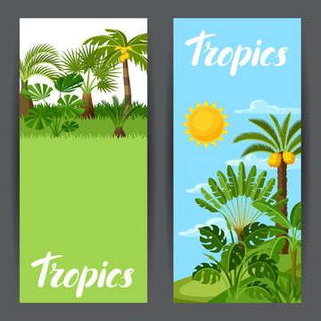 Banners with tropical palm trees. Exotic tropical plants Illustration of jungle nature