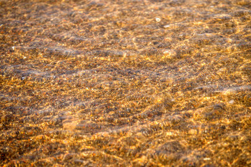 Sandstrand mit flacher Brandung