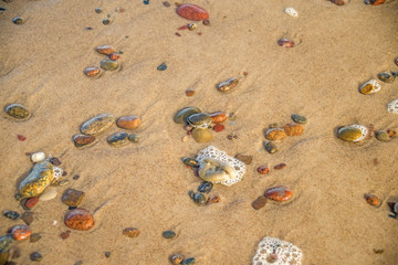 Fototapeta na wymiar Kieselsteine im seichten Wasser der Ostsee