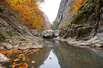 People overcomes a difficult climbing route. Small mountain river with rocks, covered with bright yellow, red, orange autumn leaves deep in the forest. Cliffs in Cheile Rametului, Romania