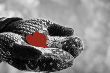 Red heart in the hands dressed in gloves black and white photo