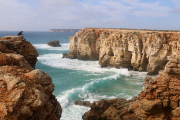 sagre