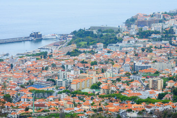 Landscape with town. View of Funchal