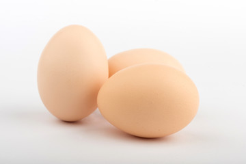 chicken egg on white background