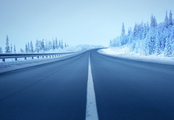 road in winter forest