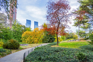 View of Central Park in New York