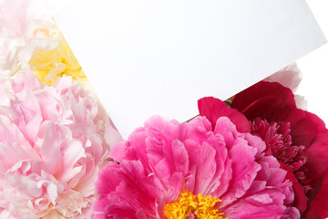 Fragment of a bouquet of peonies isolated on white background.