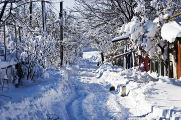 Winter street in the sunlight