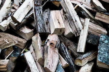 Pile of fire wood