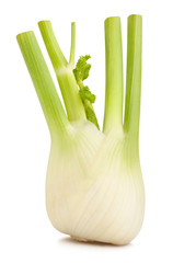 fennel