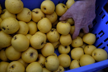 take apples from the box