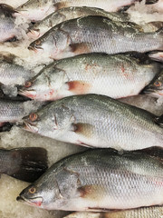 Frozen sea fish in supermarket