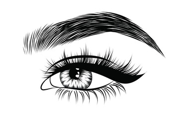 Hand-drawn woman's fresh luxurious eye with perfectly shaped eyebrows and full lashes. Idea for business visit card, typography vector. Perfect salon look.