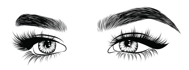 Fototapeta premium Hand-drawn woman's fresh luxurious eye with perfectly shaped eyebrows and full lashes. Idea for business visit card, typography vector. Perfect salon look.