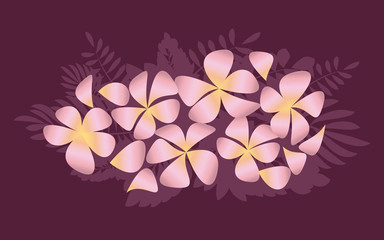 Naklejka premium Abstract decorative frangipani floral vector illustration. plumeria flowers in simple elegant style.