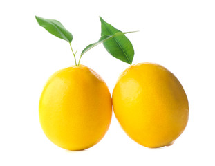 Fresh ripe lemons with leaves on white background