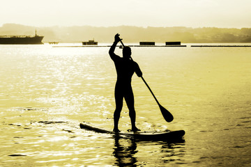 stand up paddle  board ,  man  in marina port , silhouette