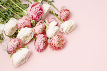 Obraz na płótnie Canvas Pink ranunculus flowers