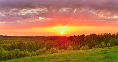 Spring forest at sunrise