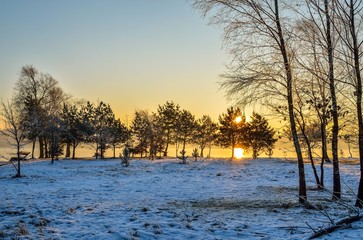 Winter morning landscape. Trees on the banks of the lake in the morning colors.