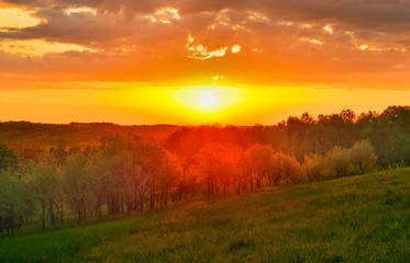 Fototapeta na wymiar Spring meadow at sunrise