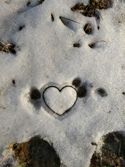 heart in snow