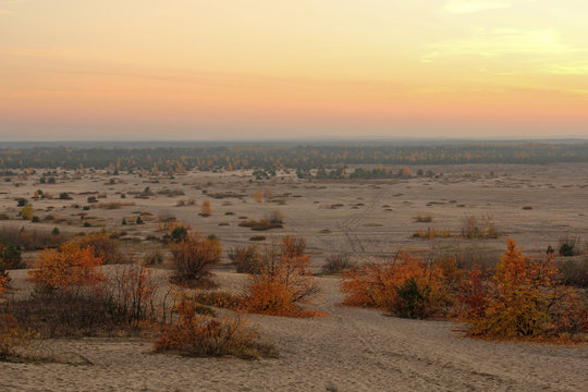 autumn landscape of Bledow Desert in Poland