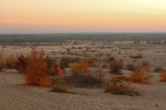 autumn landscape of Bledow Desert in Poland