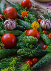 organic vegetables.a set of beet cucumbers, dill, garlic and tomato.
