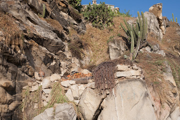 Brisas de Zicatela