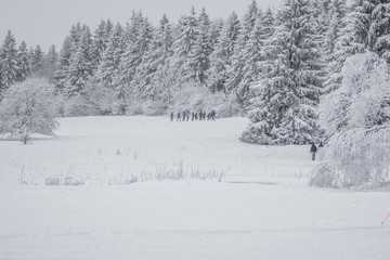 Beautiful winter landscape in the forest. Hoherodskopf Vogelsberg of Hesse, Germany
