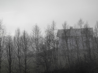 Spooky house with trees and fog