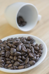 Coffee beans on white plate and in the cup on wooden background