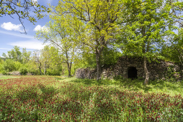 Parc de Pedra Tosca,Park Pumice stone,project by RCR Arquitectes,volcanic area La Garrotxa.Les...