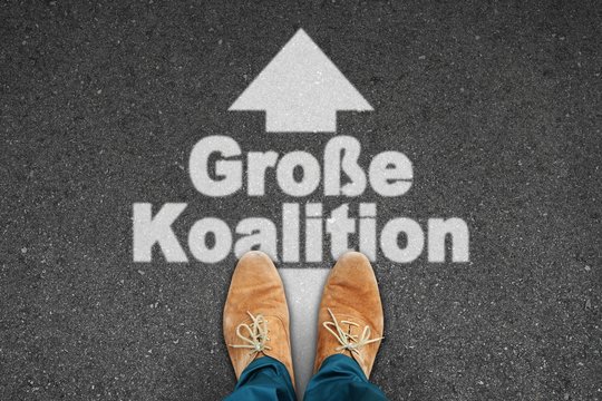 th s grosse koalition I