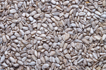 Texture of sunflower seeds close-up, background