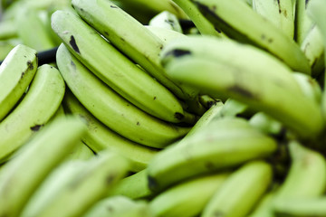 Fruit Background