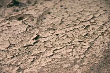 Sunny Desert Texture