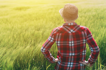 Concept of responsible farming, female farmer in cereal crops field