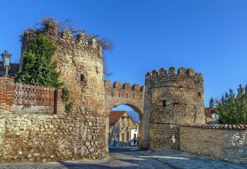 Fototapeta na wymiar Gate in wall, Signagi, Georgia