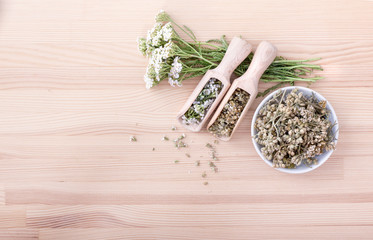  yarrow tea / Top view of spoons and bowl with fresh and dried flowers and leaves of yarrow with a wooden background with copy space