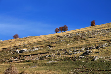 Bjelasnica mountain near Sarajevo , Bosnia and Herzegovina