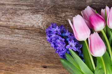 hyacinths and tulips