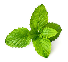closeup of fresh spearmint leaves isolated on white background