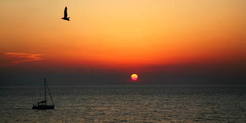 Sunset on the see with e boat and bird flying in the sky in Gallipoli, Italy © jekatarinka