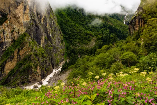La Vallée des Fleurs - Adobe Stock