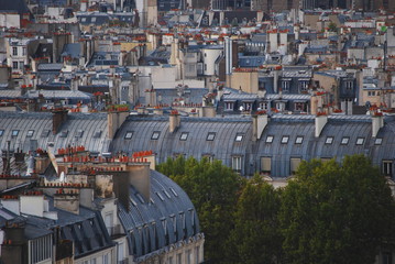 Typical Paris roof tops across the Paris skyline