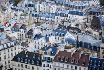 Fototapeta premium Typical Paris roof tops across the Paris skyline